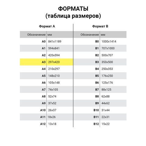 Папка для рисования БОЛЬШОГО ФОРМАТА А3, 20 л., 160 г/м2, BRAUBERG, 297х420 мм, "Орел"