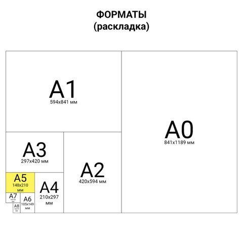 Бланк бухгалтерский типографский "Приходно-кассовый ордер", А5 (138х197 мм), СКЛЕЙКА 100 шт.