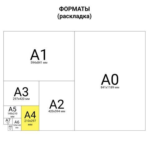 Бумага цветная BRAUBERG, А4, 80 г/м2, 250 л., (5 цветов х 50 л.), медиум, для офисной техники