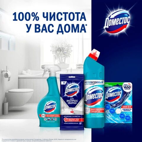 Блок туалетный подвесной твердый 40 г ДОМЕСТОС "Атлантик", основной блок