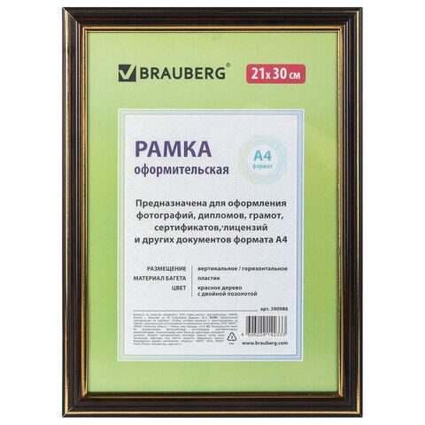 Рамка 21х30 см, пластик, багет 20 мм, BRAUBERG "HIT3", красное дерево с двойной позолотой, стекло