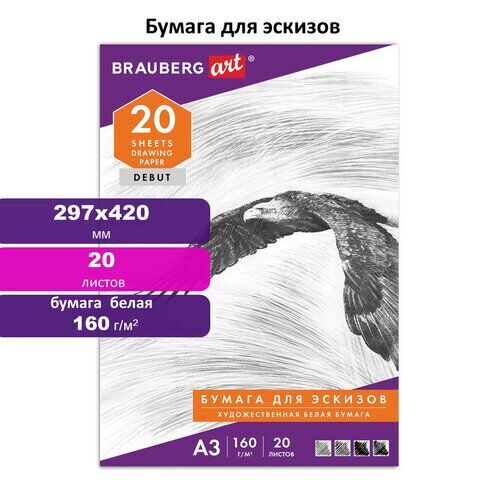 Папка для рисования БОЛЬШОГО ФОРМАТА А3, 20 л., 160 г/м2, BRAUBERG, 297х420 мм, "Орел"